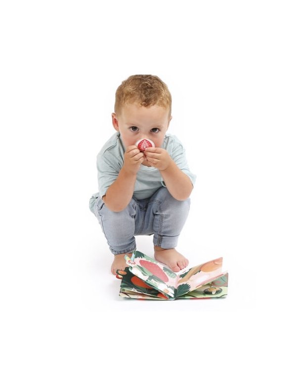 Livres des odeurs fruits - Ludi