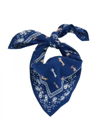 Foulard Indien Enfant...