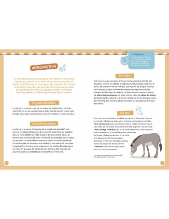 Coffret à la découverte des... 2