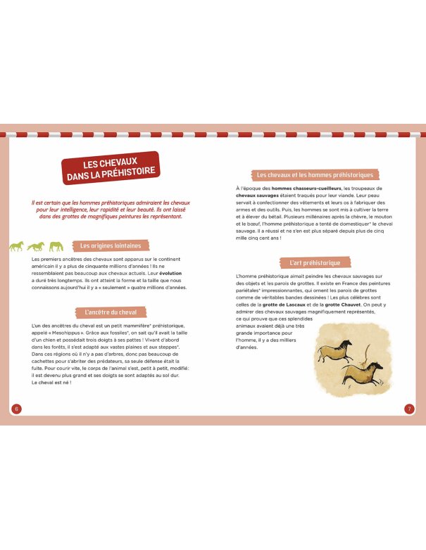 Coffret à la découverte des chevaux -...