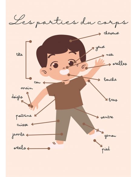 Affiche pour enfant - A4 ou A3 - Les parties du corps Affiche pour enfant - A4 ou A3 - Les parties du corps