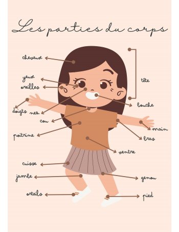Affiche pour enfant - A4 ou A3 - Les parties du corps 2