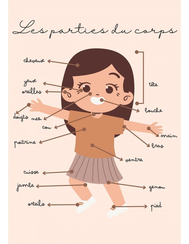 Affiche pour enfant - A4 ou A3 - Les parties du corps Affiche pour enfant - A4 ou A3 - Les parties du corps