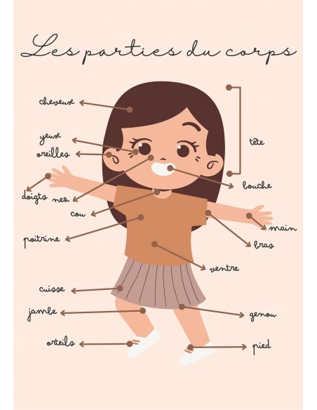 Affiche pour enfant - A4 ou A3 - Les parties du corps Affiche pour enfant - A4 ou A3 - Les parties du corps