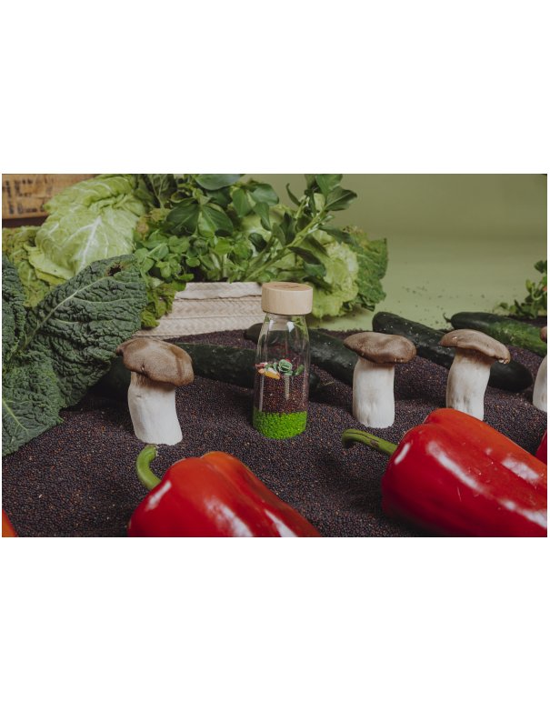 Bouteille sensorielle - Légumes