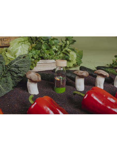 Bouteille sensorielle - Légumes