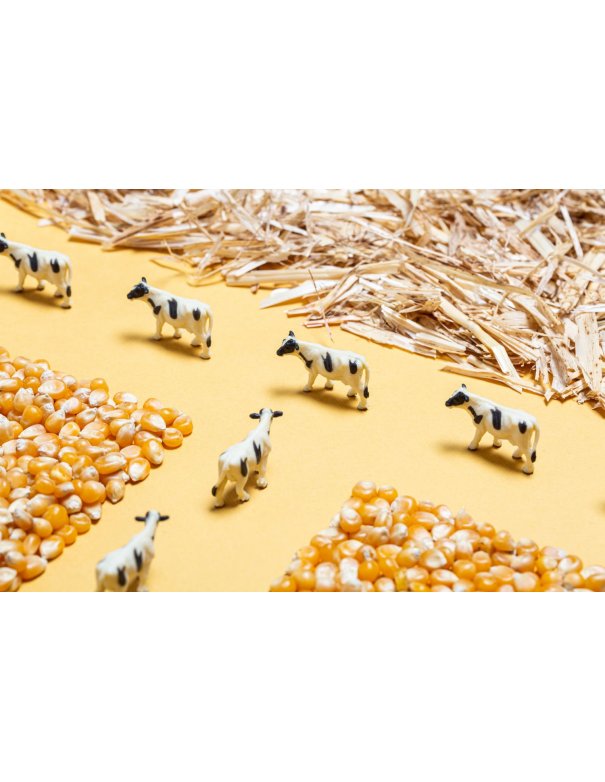 Bouteille sensorielle - Ferme