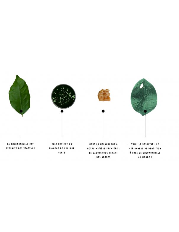 Jouet de dentition - feuille de chlorophylle