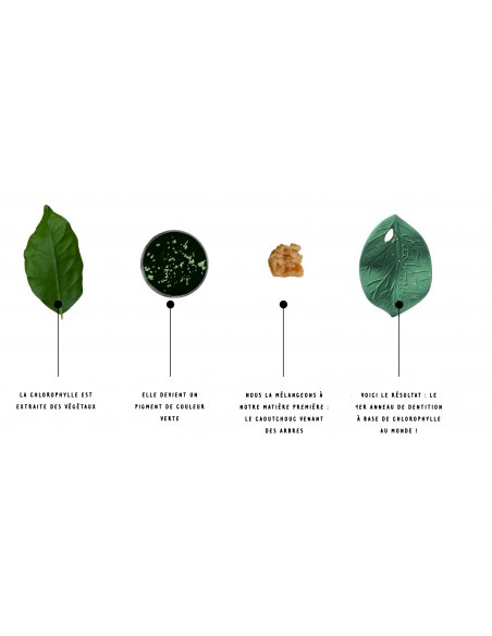 Jouet de dentition - feuille de chlorophylle