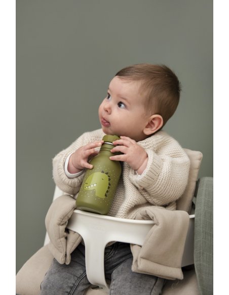 Gourde 350 ml Mr.Dino