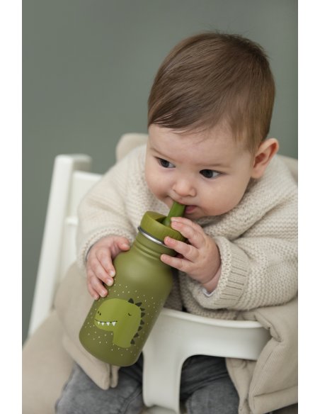 Gourde 350 ml Mr.Dino