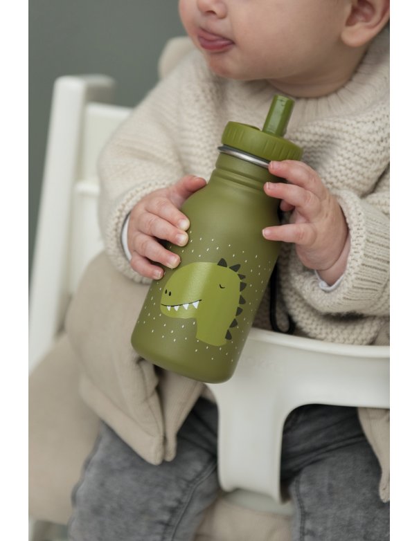 Gourde 350 ml Mr.Dino