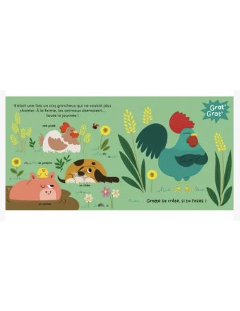 Grat' grat' histoire à gratouiller - la fête à la ferme! 2