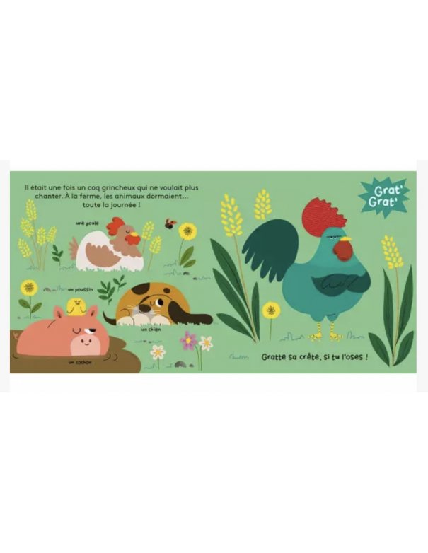 Grat' grat' histoire à gratouiller - la fête à la ferme!