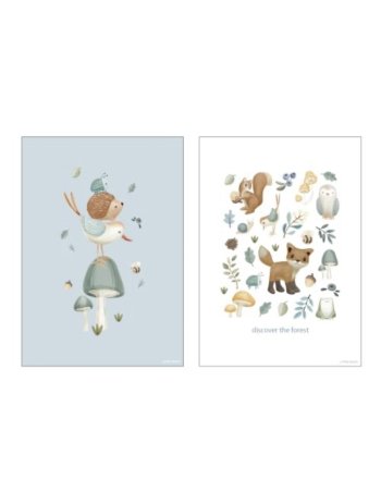 Poster A3 - Forest Wonders