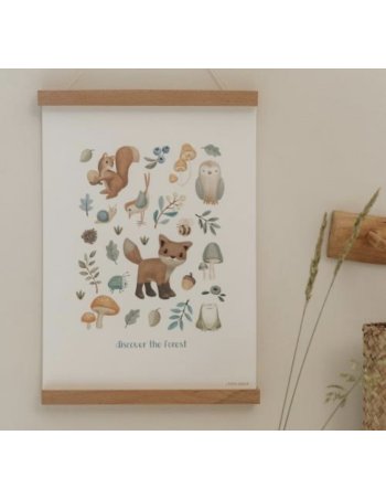 Poster A3 - Forest Wonders 2