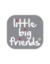 Little Big Friends